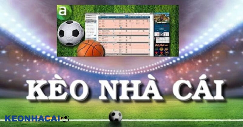 Kinh Nghiệm Nhận Định Các Kèo Cá Cược Bóng Đá Chuẩn Nhất Phân tích kèo nhà cái